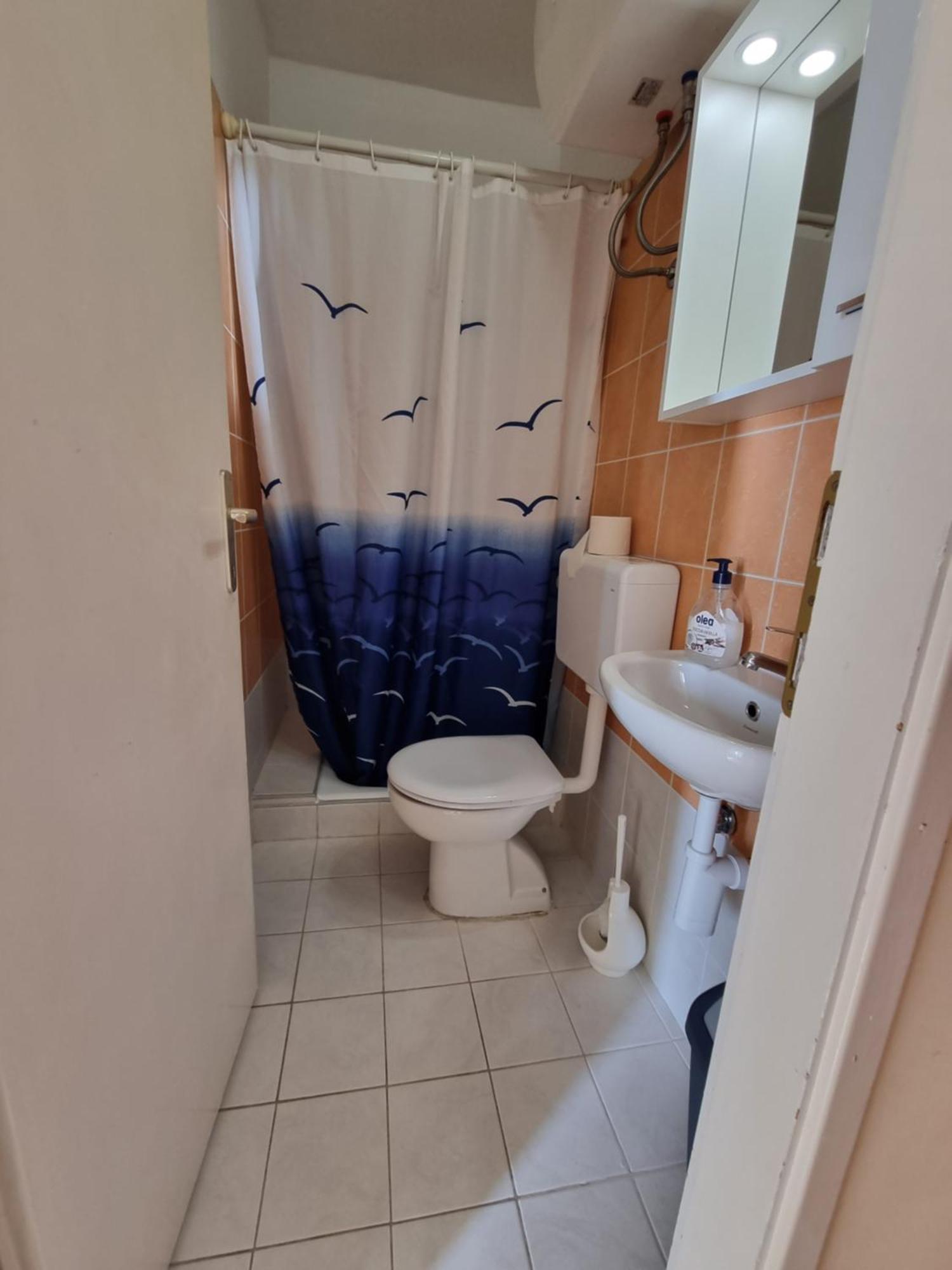 Apartmani Apollo - Drasnice Room photo